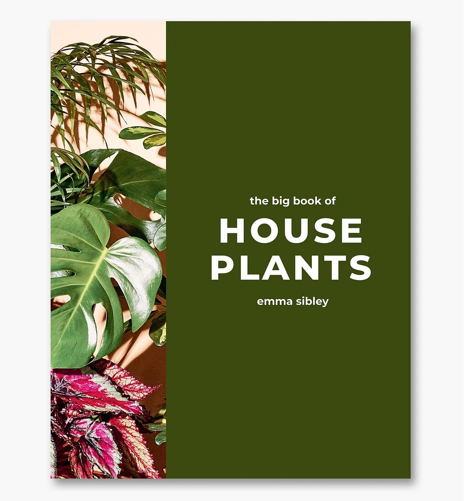 The Big Book of House Plants