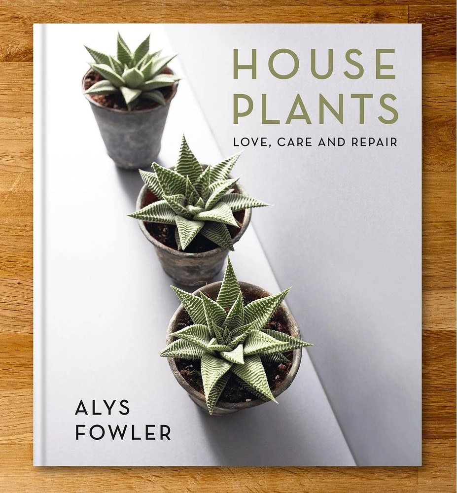 House Plants – Love, Care and Repair