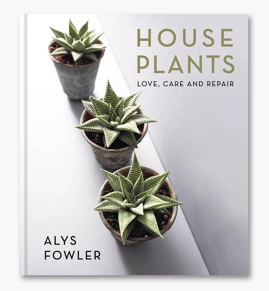 House Plants – Love, Care and Repair