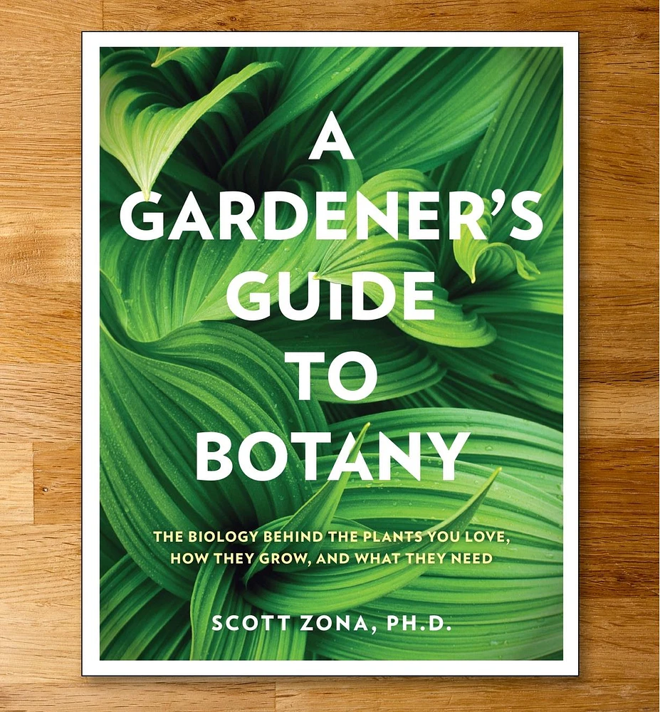 A Gardener's Guide to Botany