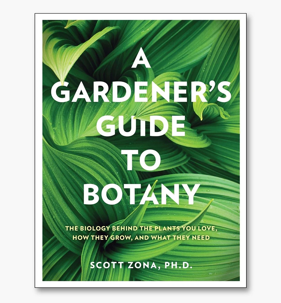 A Gardener's Guide to Botany