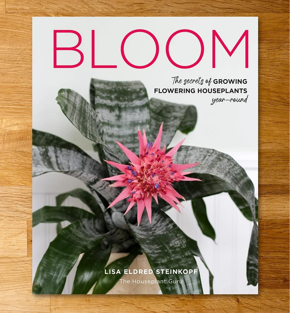 Bloom