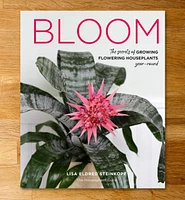 Bloom