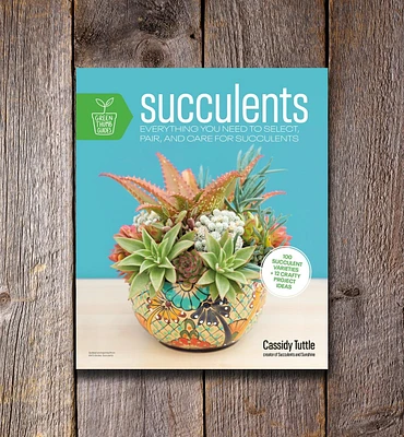 Succulents