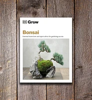 Grow Bonsai