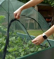 Umbrella Plant Dome