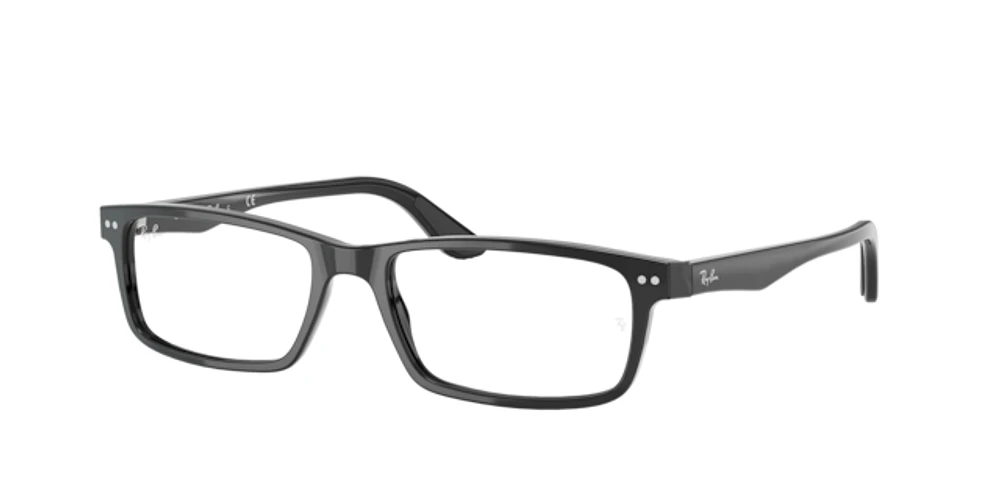 Ray-Ban Unisex Black