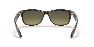 RB2132 nouveau Wayfarer classique