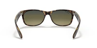 RB2132 nouveau Wayfarer classique