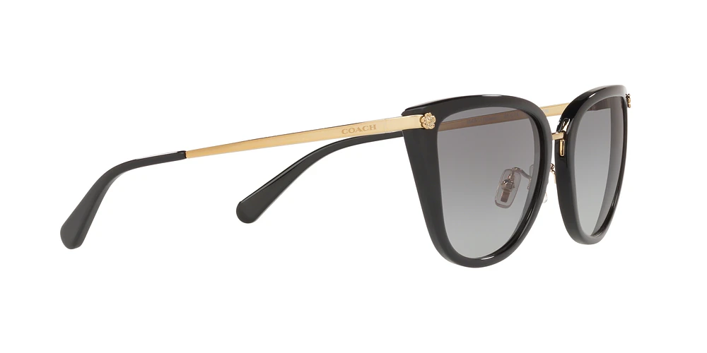 HC8276 L1099