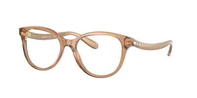 Coach Woman Transparent Brun