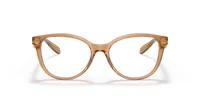 Coach Woman Transparent Brun