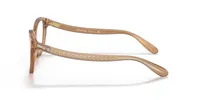 Coach Woman Transparent Brun
