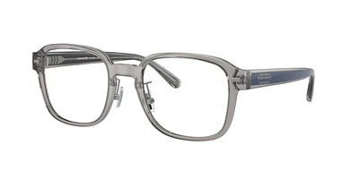 Coach Man Transparent Grey