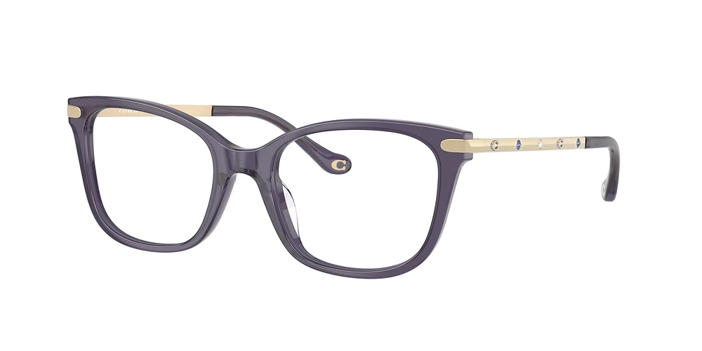HC6261BU