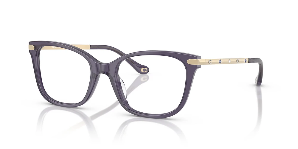 HC6261BU