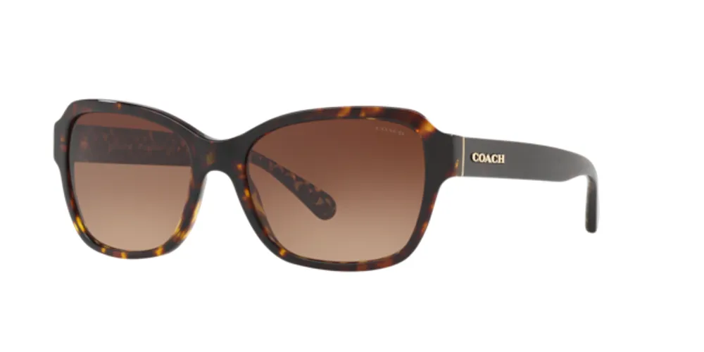 Coach Woman Dark Tortoise