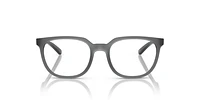 Arnette Man Transparent Grey Matte, Shiny