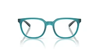 Arnette Man Transparent Matte, Shiny