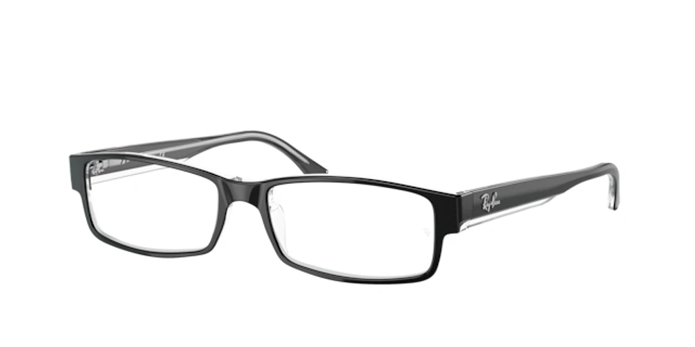 Ray-Ban Unisex Black On Transparent