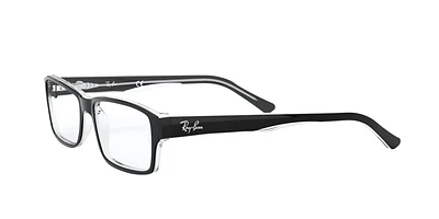 RB5169 Optique