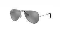 RB9506S Aviateur