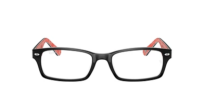 RB5206 Optics