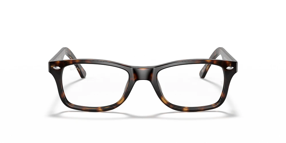 RB5228 Optique