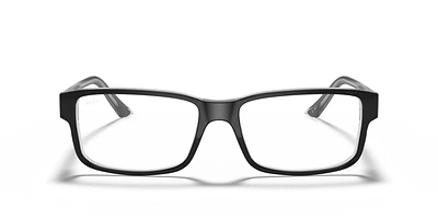 RB5245 Optics