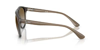 Ray-Ban Man Brown Gradient On Clear Grey