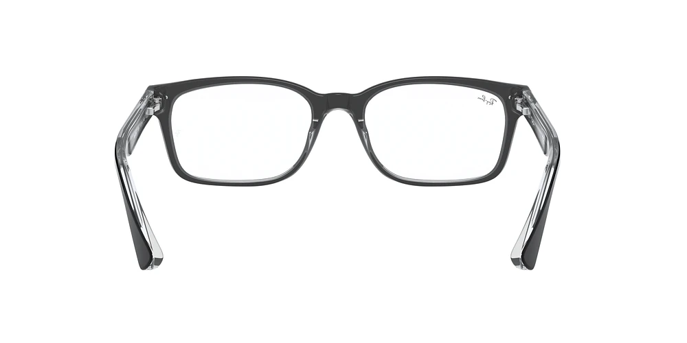 RB5286 Optique