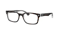 Ray-Ban Unisex Havana On Transparent