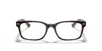 Ray-Ban Unisex Havana On Transparent