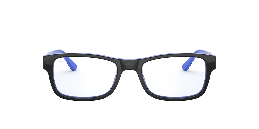 RB5268 Optics