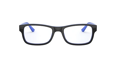 RB5268 Optics