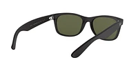 RB2132F New Wayfarer Matte