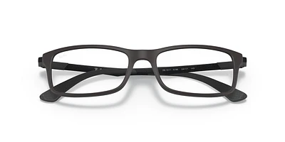 RB7017 Optics