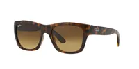 Ray-Ban Unisex Light Havana