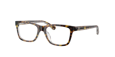 Ray-Ban Jr Unisex Dark Havana