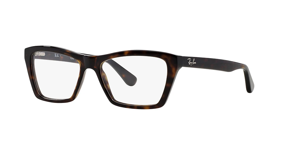 RB5316 Optique