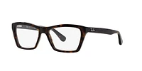 RB5316 Optique