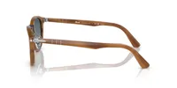 Persol Man Striped Brown