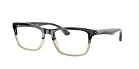 Ray-Ban Unisex Grey Horn