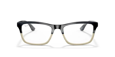 RB5279 Optics
