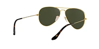 RB3025 Aviator Havana Collection