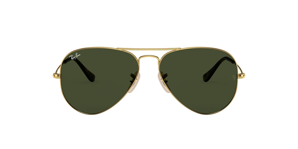 RB3025 Aviator Havana Collection