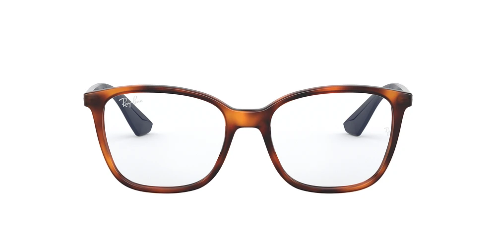 RB7066 Optique