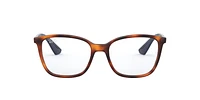 RB7066 Optique