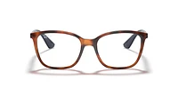 RB7066 Optique