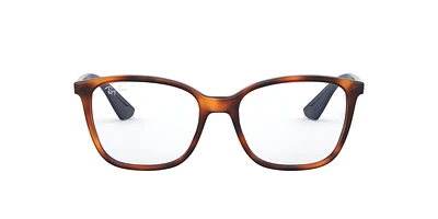 RB7066 Optique